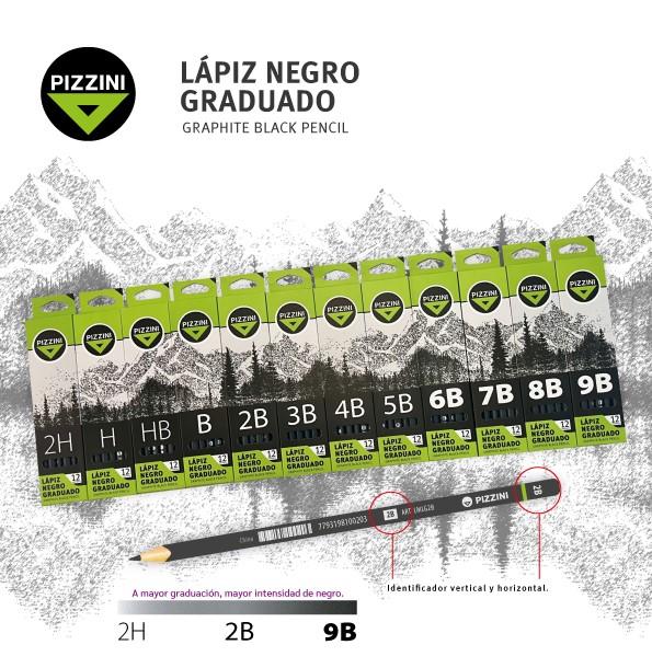 LAPIZ GRAFITO PIZZINI TRIANGULAR GRADUADO 2H X 12 - LMLG2H