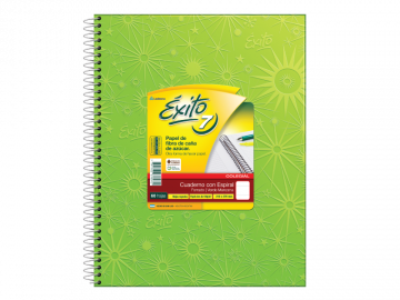 CUADERNO 21 X 27 EXITO COLEGIAL ARAÑA VERDE MANZANA 60 HS RAYADO C/ESP