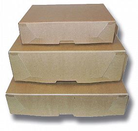 CAJA ARCHIVO CARTON CARTA 12 CM